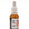 Agrimonia (AGRIMONY ) Disminuye la ansiedad