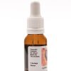 Aulaga ( GORSE ) Para recobrar la esperanza