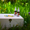 Kit artesanal gotas de flores