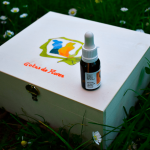 kit de flores de bach artesanal