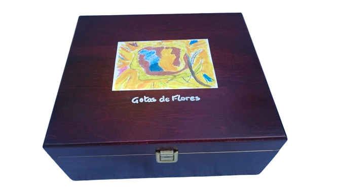 oferta Navidad kit de Flores de Bach y formación