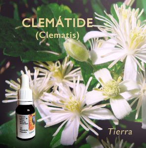Clematide