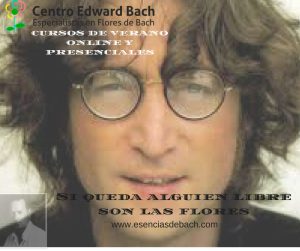curso de flores de bach