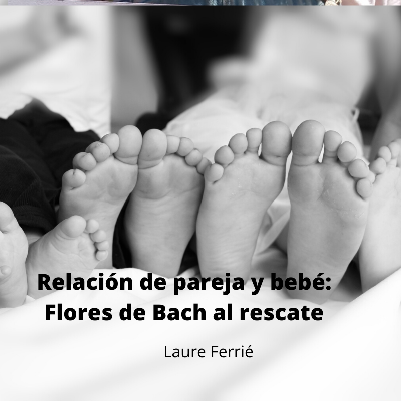 relación de pareja y bebé: con flores de bach