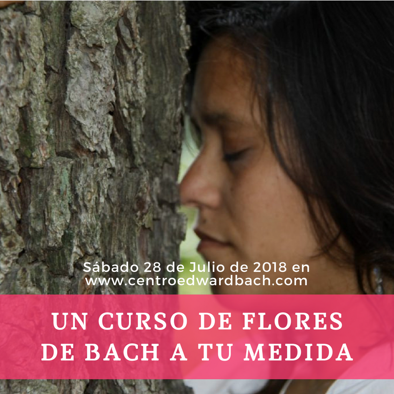 curso de flores de bach julio 2018