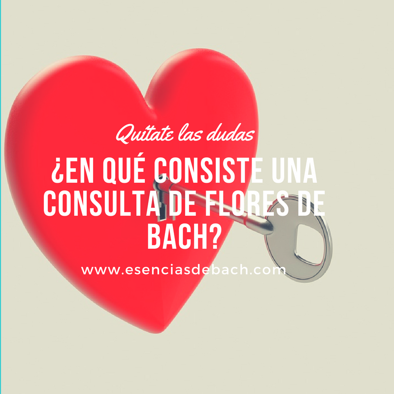 consulta de flores de bach