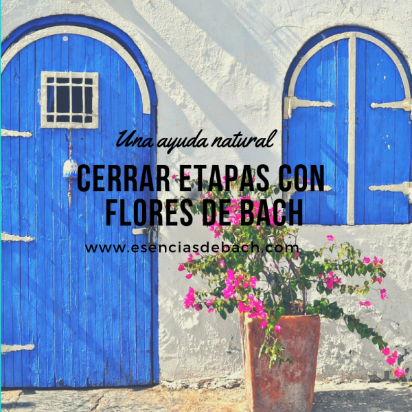 cerrar etapas con flores de bach