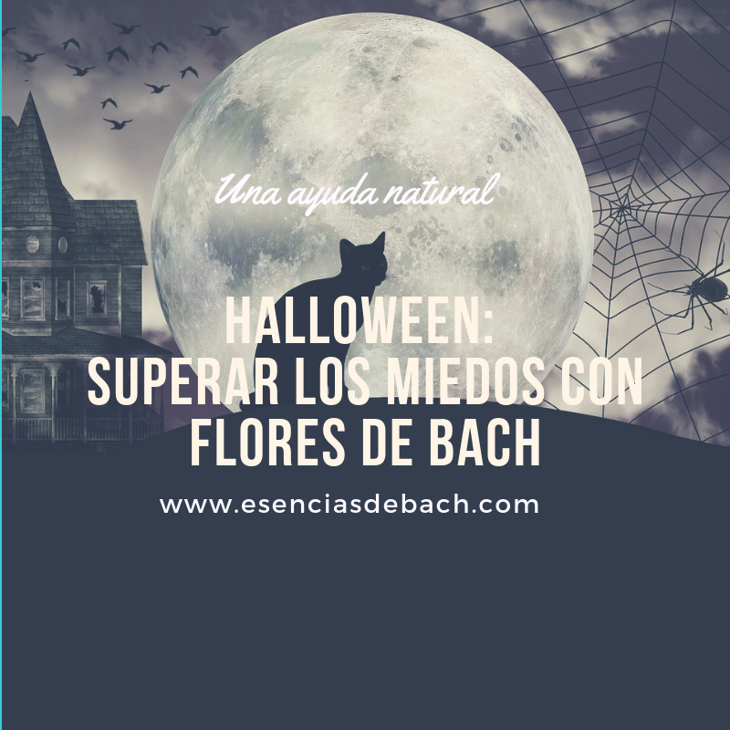 halloween superar los miedos con flores de bach