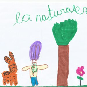 dibujo 2 Violeta la naturaleza