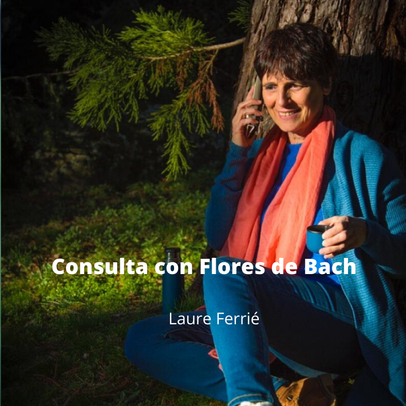 concentración y flores de bach con Laure Ferrié