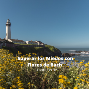 superar los miedos con flores de bach