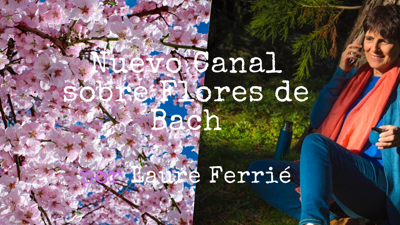 nuevo canal de Flores de Bach de Laure Ferrié