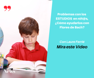 problemas de estudio y flores de bach vídeo