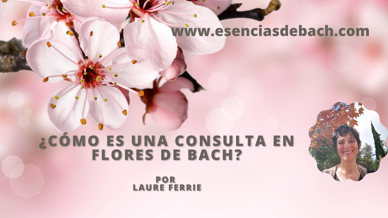 encuentro de flores de bach