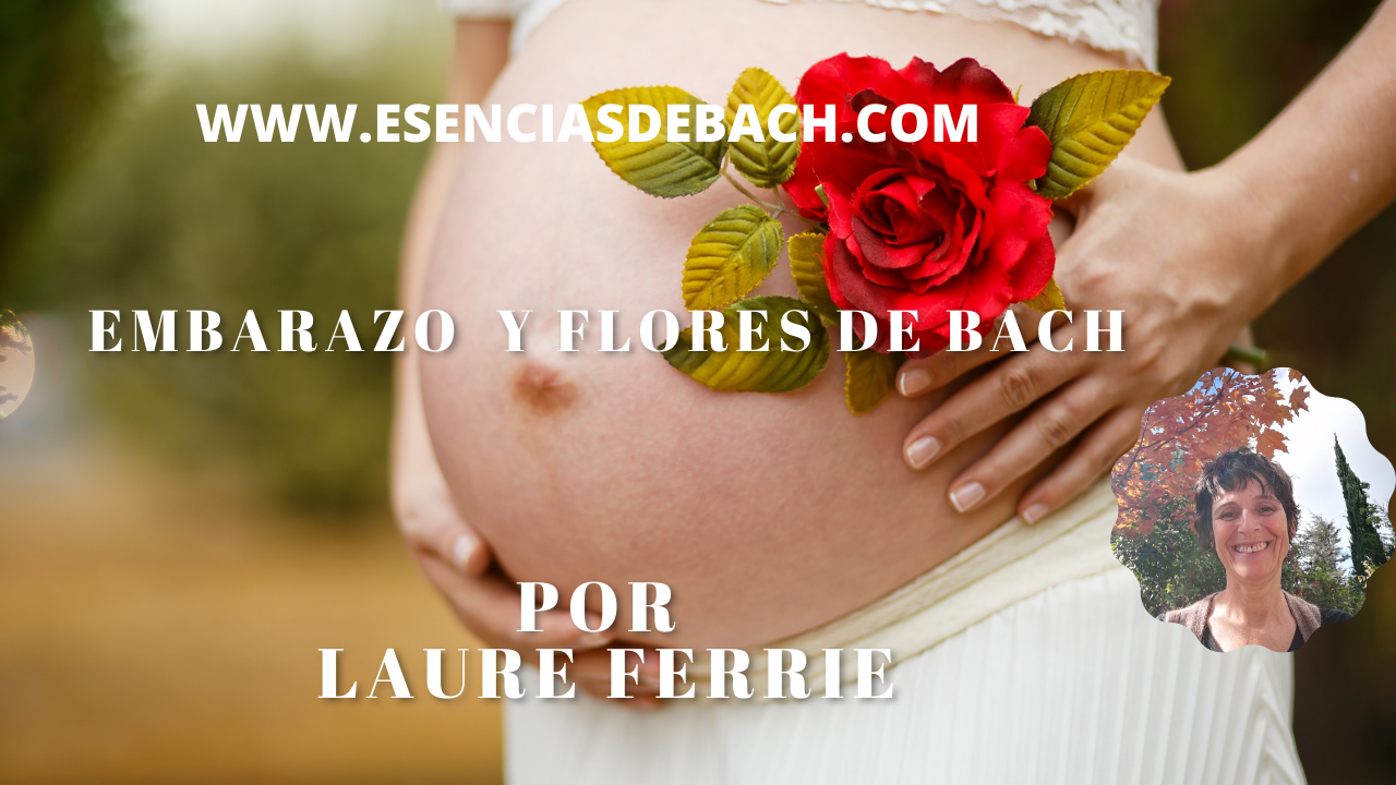 video sobre embarazo y flores de bach