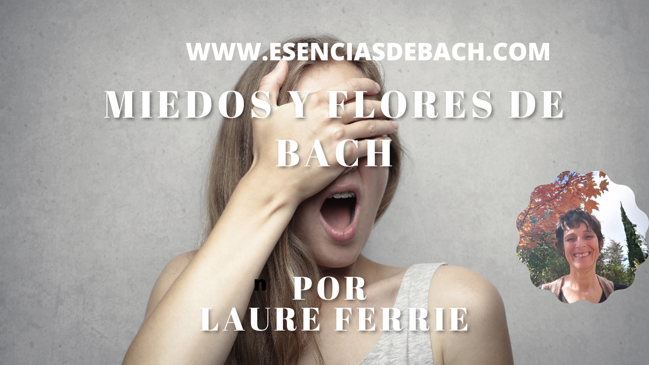 miedos y flores de bach