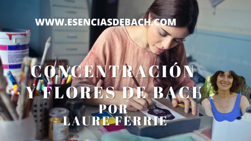 concentración y flores de bach