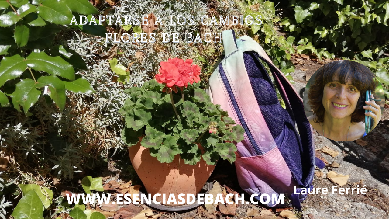 flores de bach y adaptación