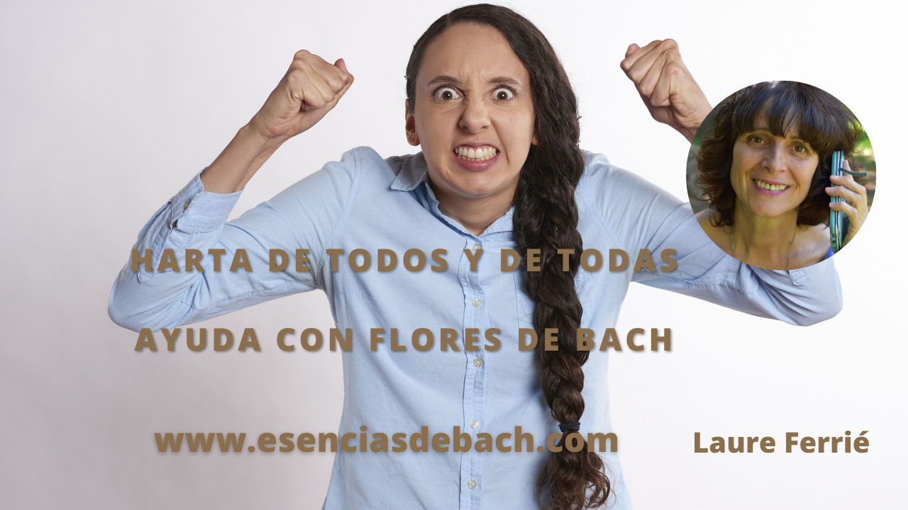 harta de todos y de todas ayuda con Flores de Bach