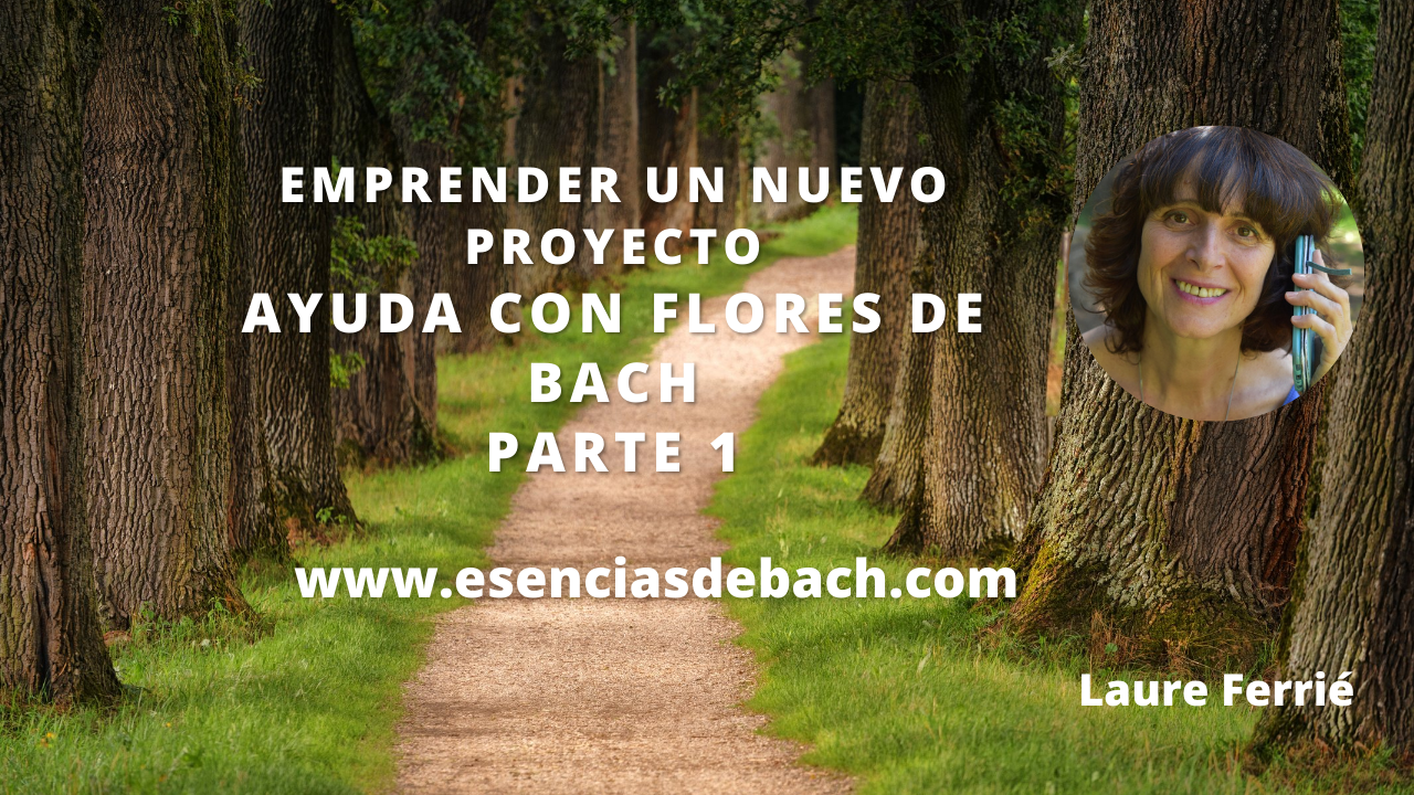 Flores de Bach y nuevo proyecto
