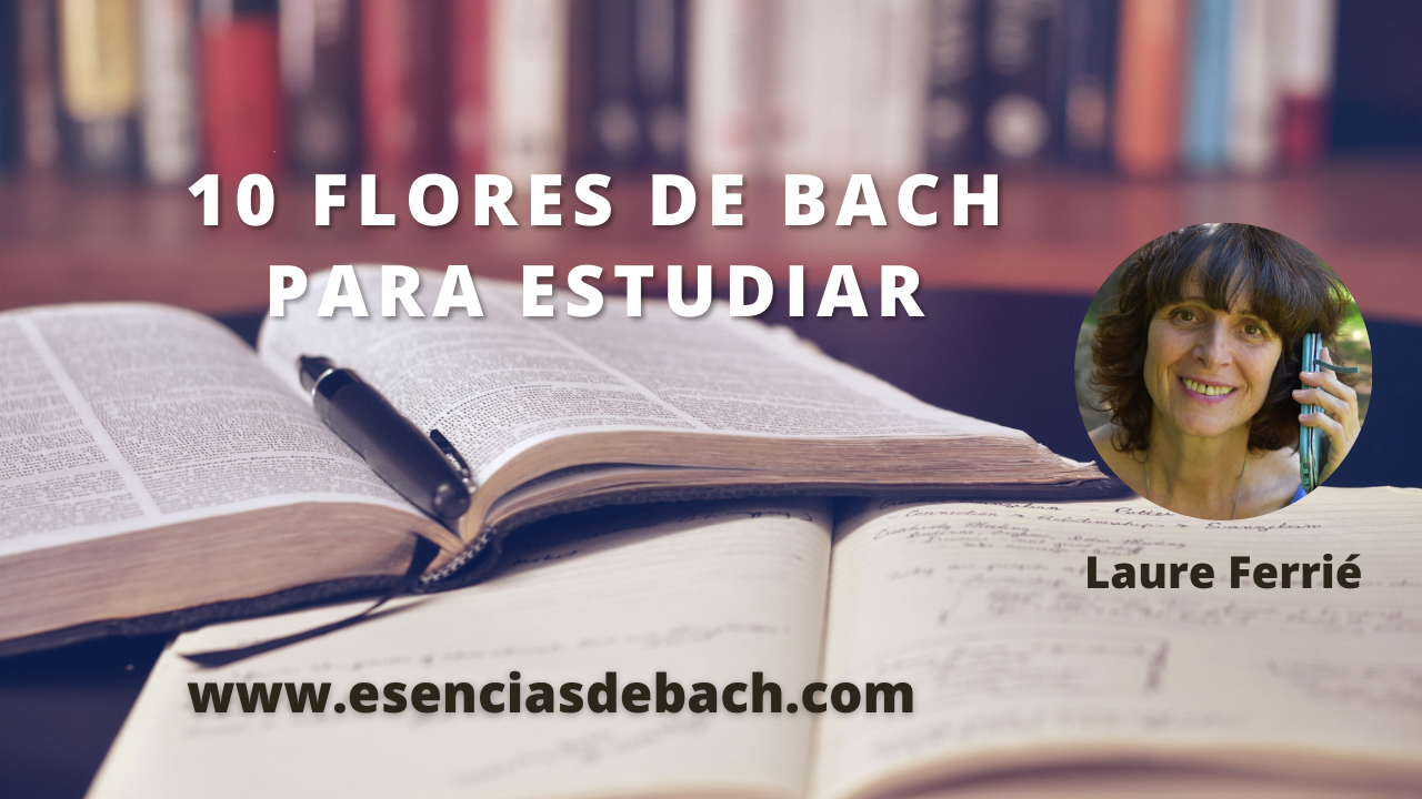 10 Flores de bach para estudiar