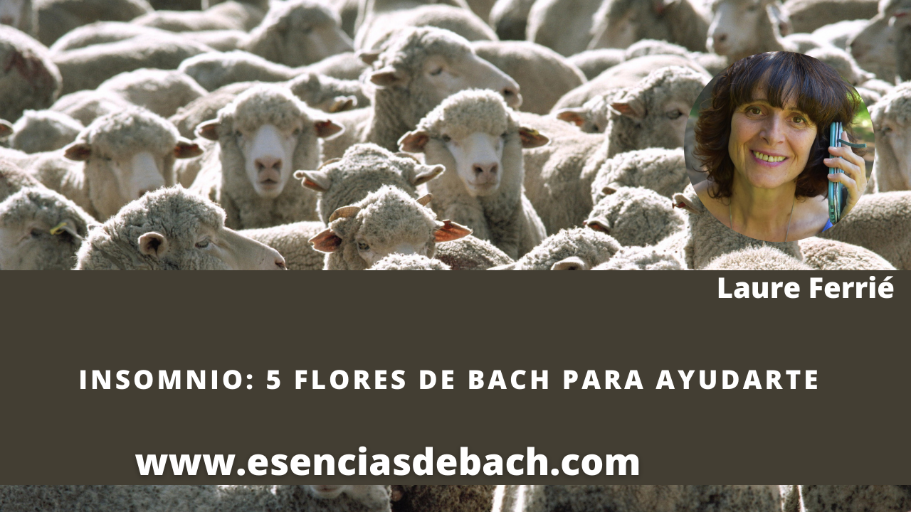 Flores de Bach para tratar el insomnio