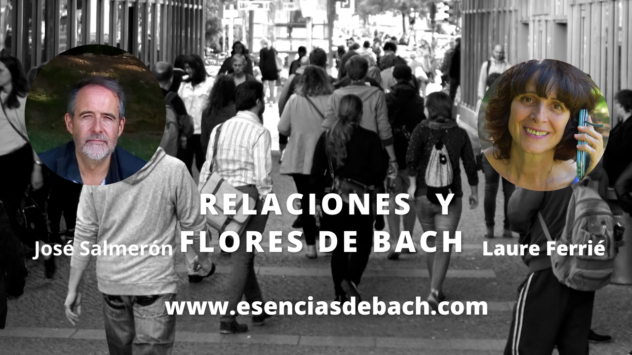 Flores de bach artesanales