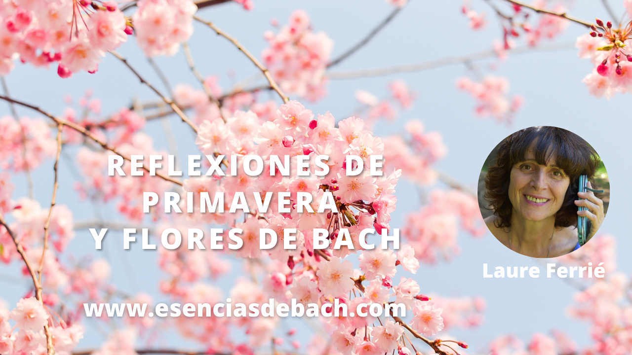 primavera: reflexiones y flores de bach