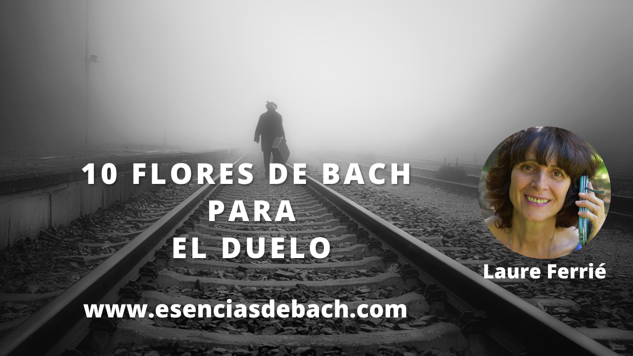 duelo y flores de bach www.esenciasdebach.com