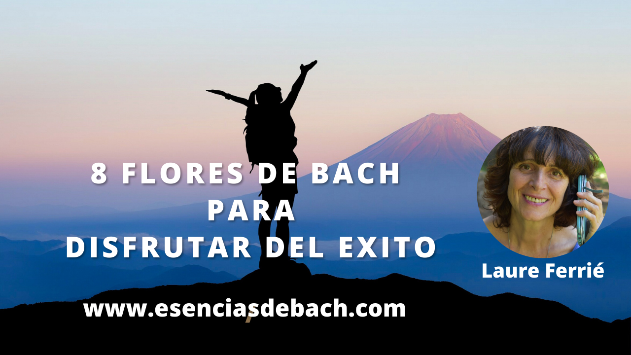 8 flores de bach para disfrutar del éxito