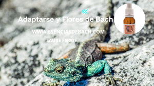 Adaptarse al cambio con Flores de Bach www.esenciasdebach.com