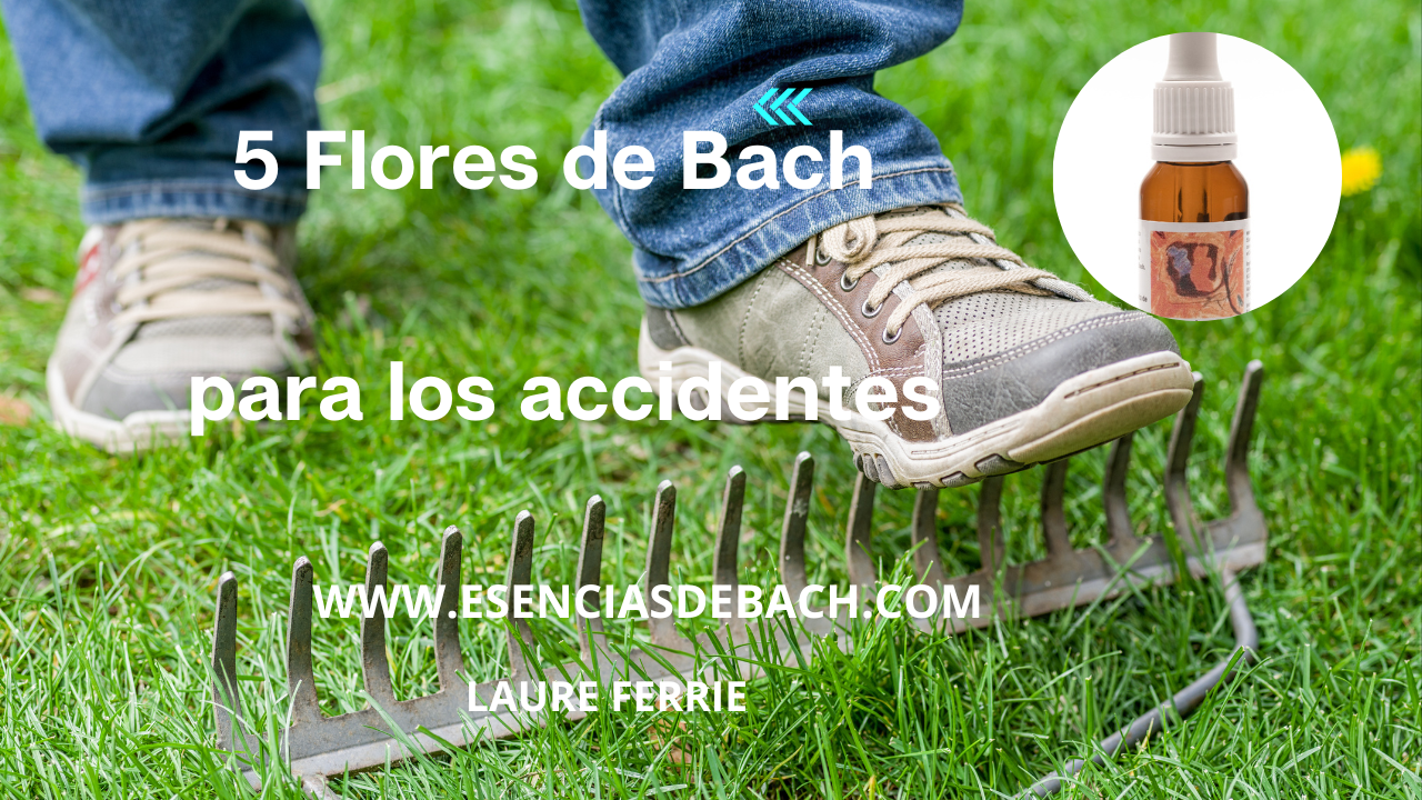 accidentes y flores de bach