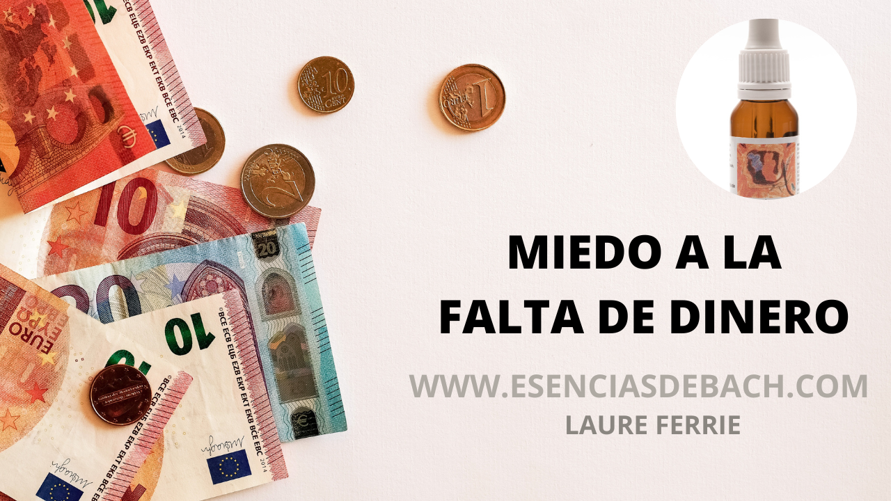 www.esenciasdebach.com