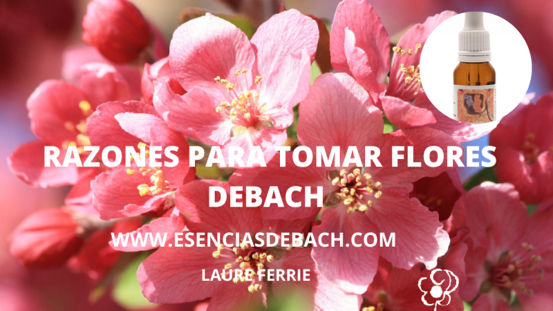 PORQUÉ TOMAR FLORES DE BACH