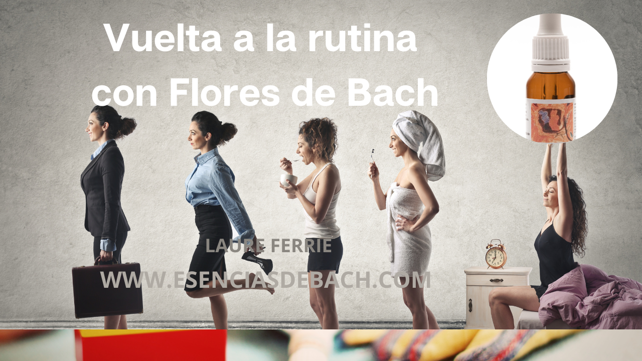 flores de bach www.esenciasdebach.com