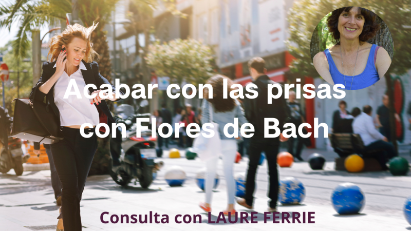 consulta flores de bach