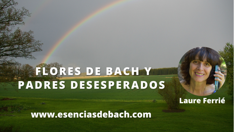 flores de bach para padres desesperados