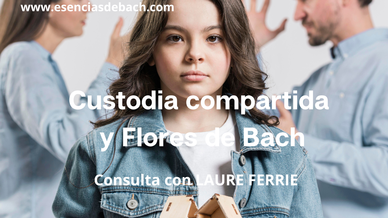 custodia compartida y flores de bach