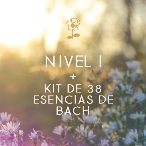 curso Centro Edward Bach y Kit de esencias